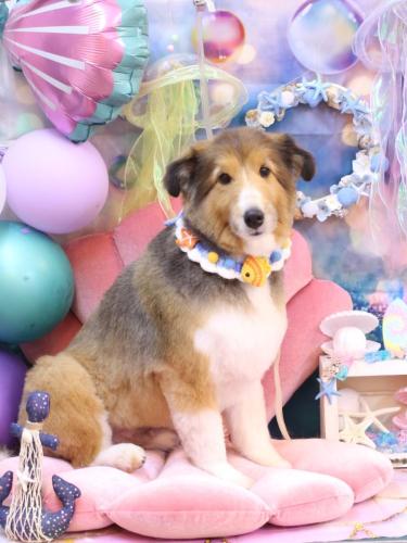 20240812リクくん